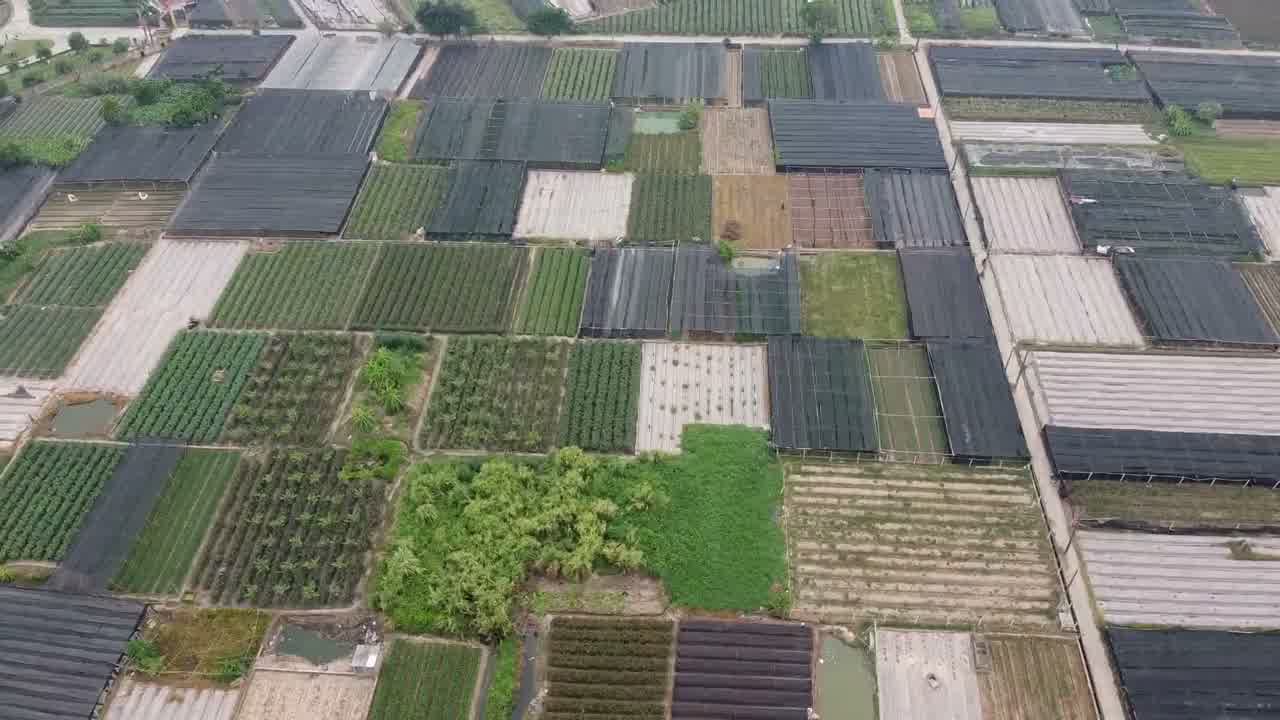 Orthomosaic map view of agricultural fields captured by drone.
